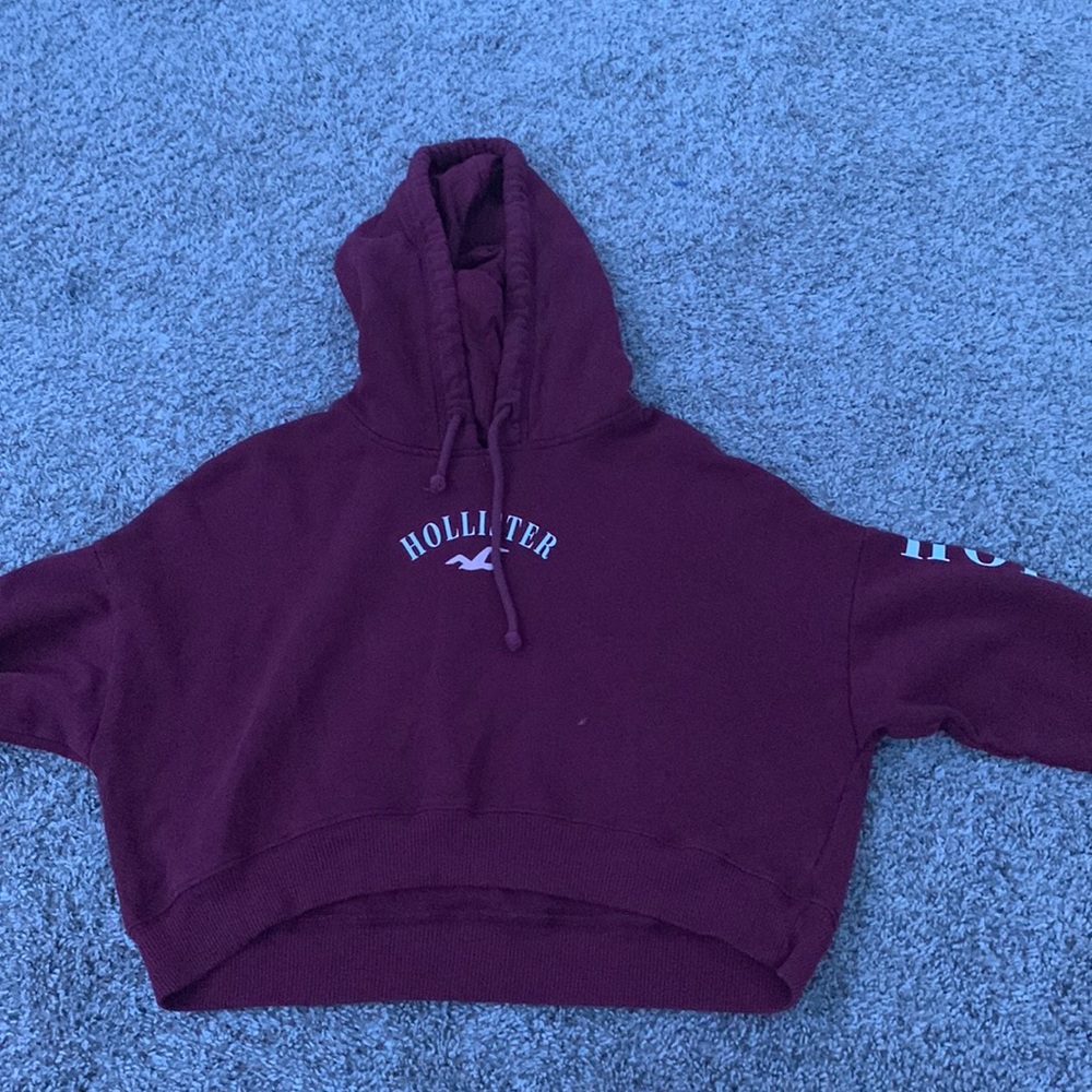 Hollister Crop Sweatshirt